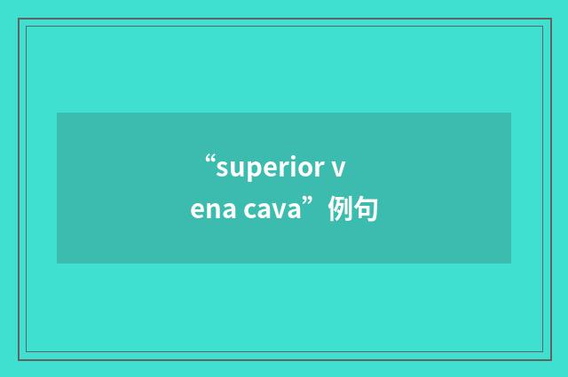 “superior vena cava”例句