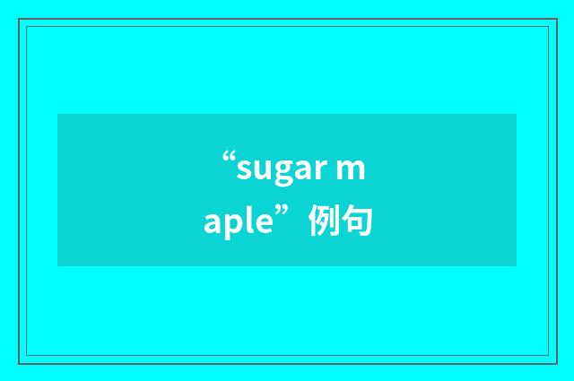 “sugar maple”例句