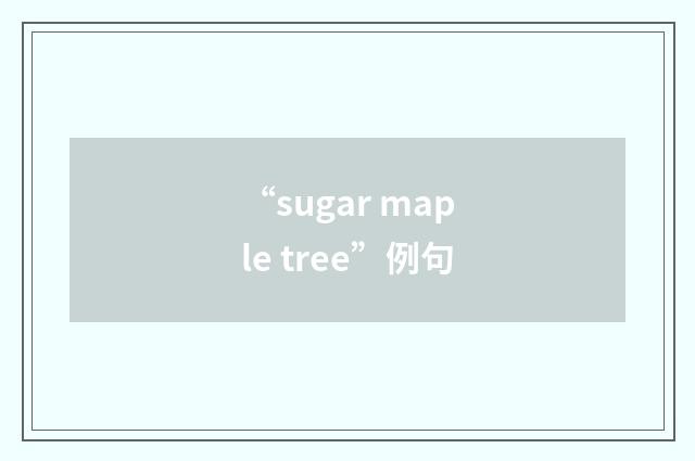 “sugar maple tree”例句