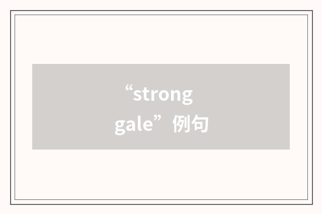 “strong gale”例句