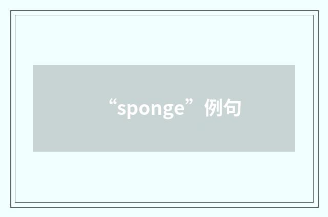 “sponge”例句