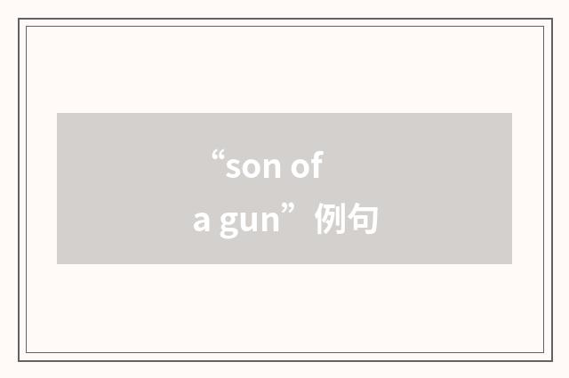 “son of a gun”例句