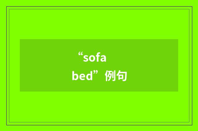 “sofa bed”例句