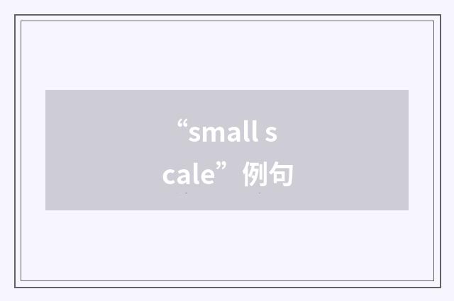 “small scale”例句