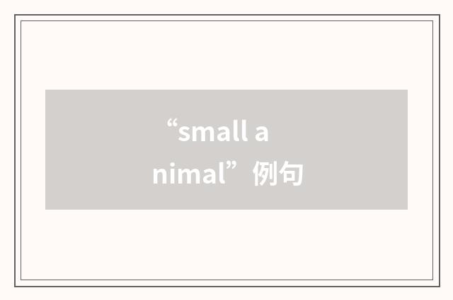 “small animal”例句