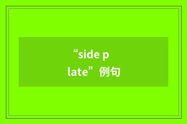 “side plate”例句