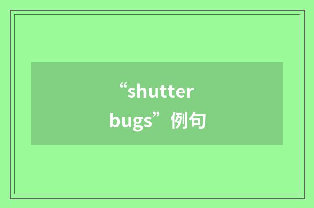“shutterbugs”例句