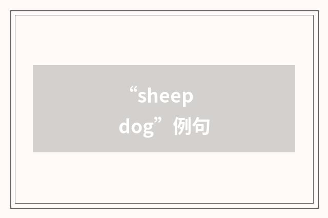 “sheep dog”例句