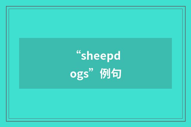 “sheepdogs”例句