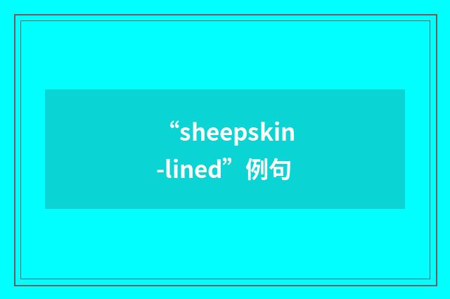 “sheepskin-lined”例句