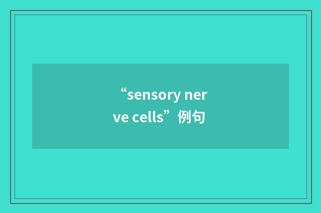 “sensory nerve cells”例句