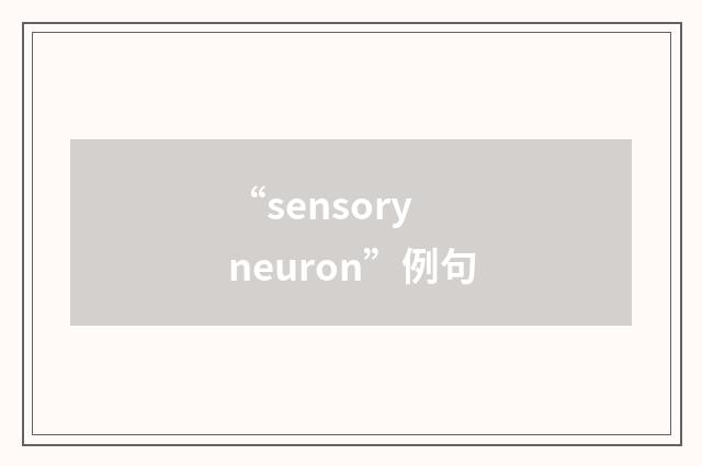 “sensory neuron”例句