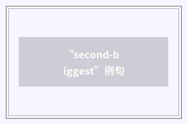 “second-biggest”例句