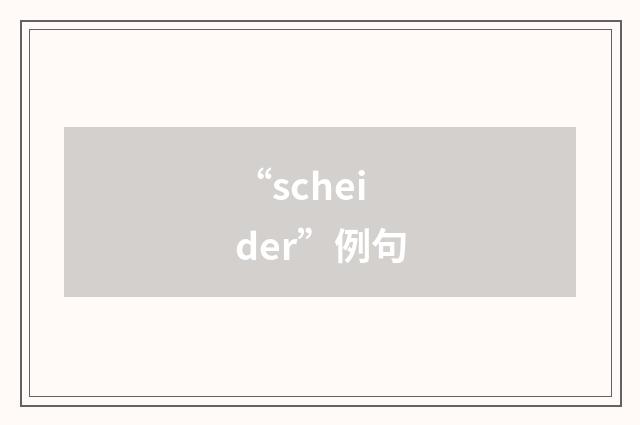 “scheider”例句