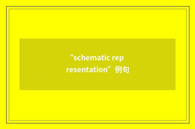 “schematic representation”例句