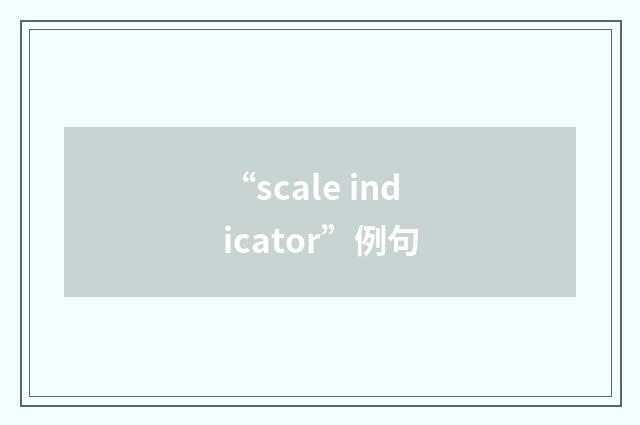 “scale indicator”例句