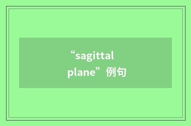 “sagittal plane”例句