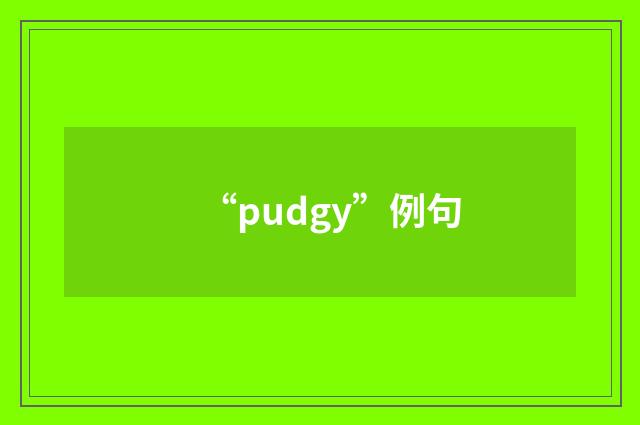 “pudgy”例句