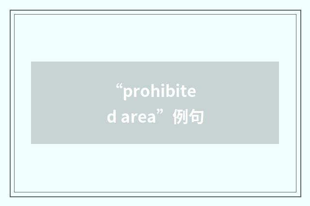 “prohibited area”例句