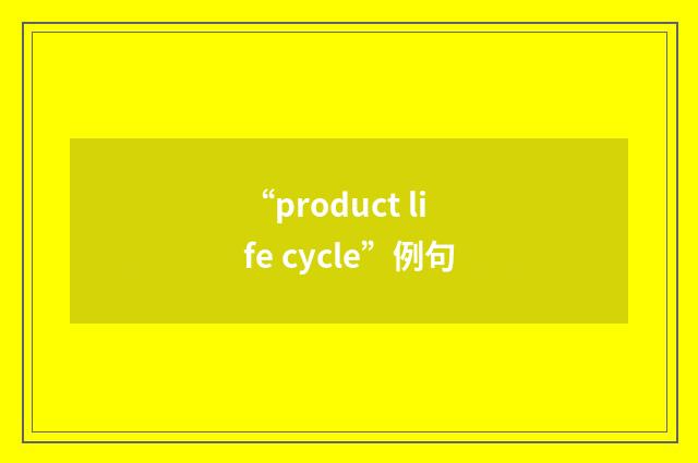 “product life cycle”例句
