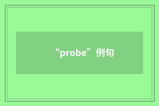 “probe”例句