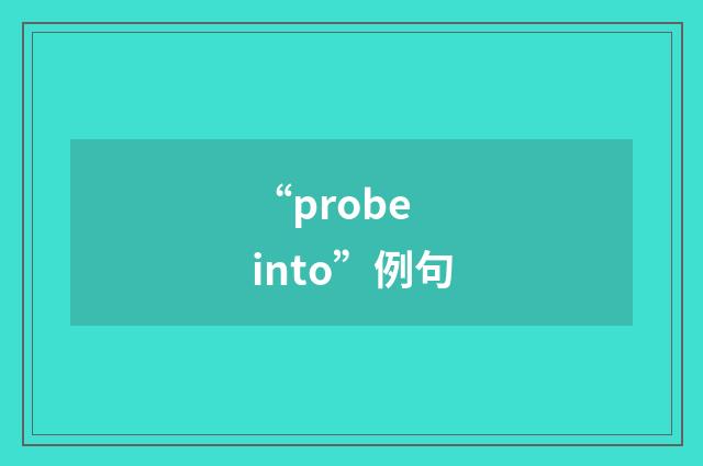 “probe into”例句