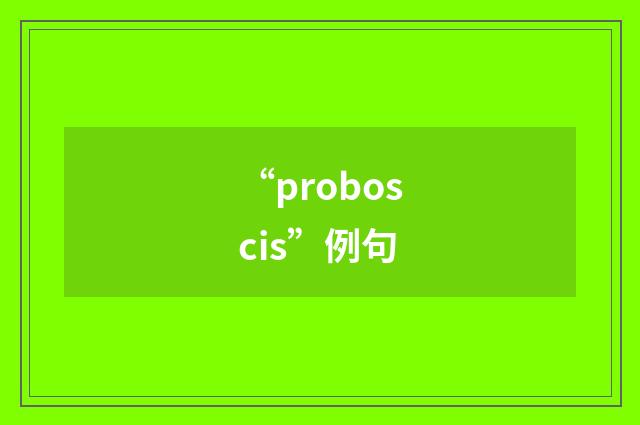 “proboscis”例句