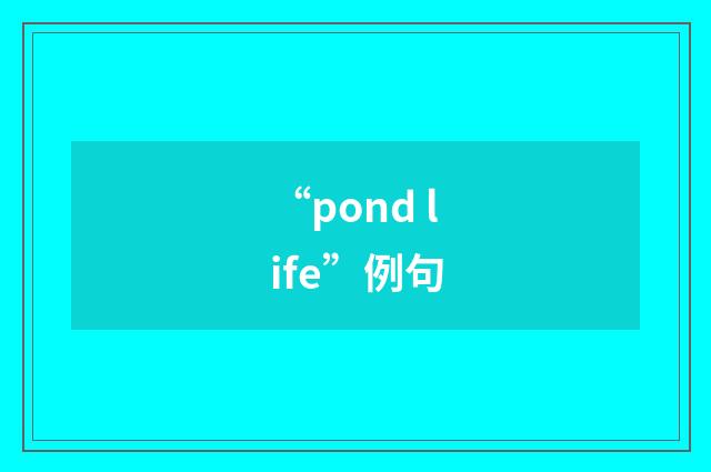 “pond life”例句