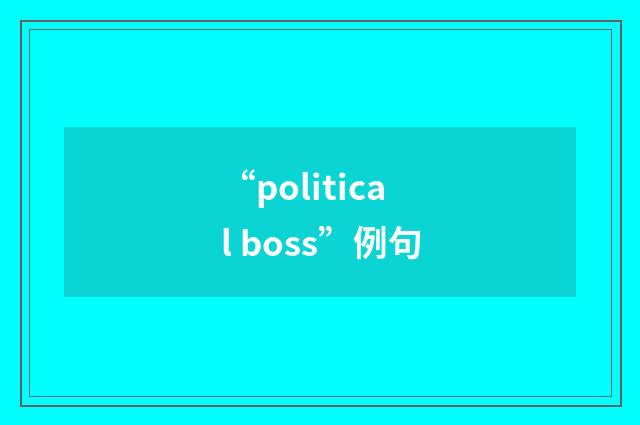 “political boss”例句