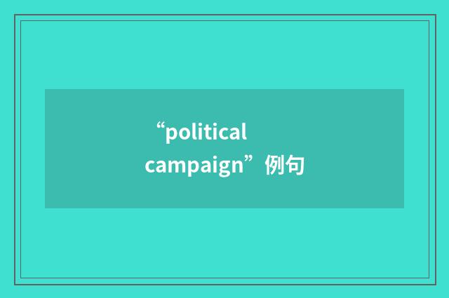 “political campaign”例句