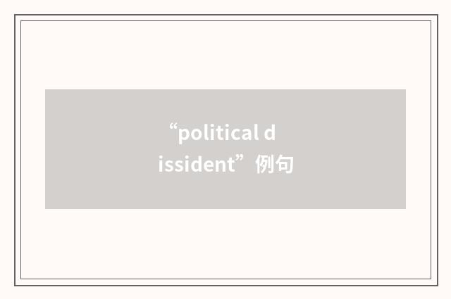 “political dissident”例句