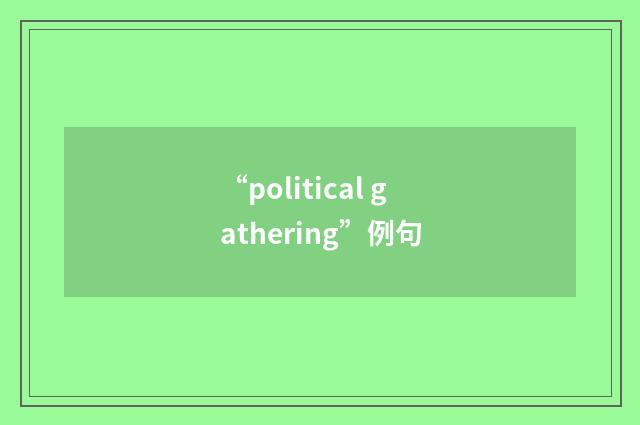 “political gathering”例句