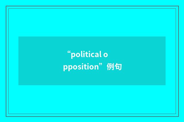 “political opposition”例句