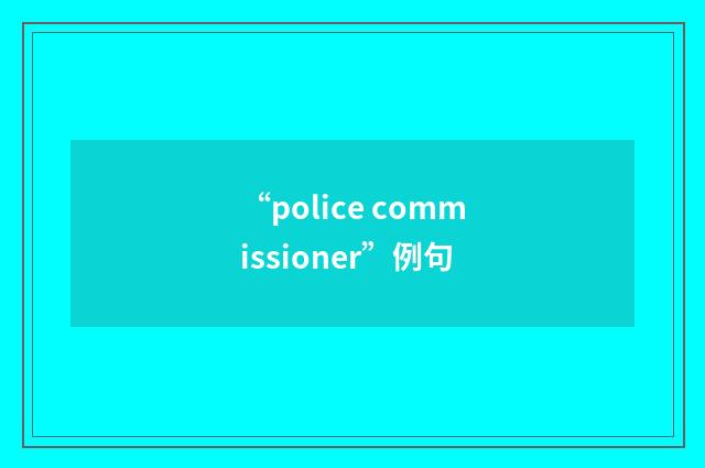“police commissioner”例句