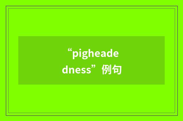 “pigheadedness”例句