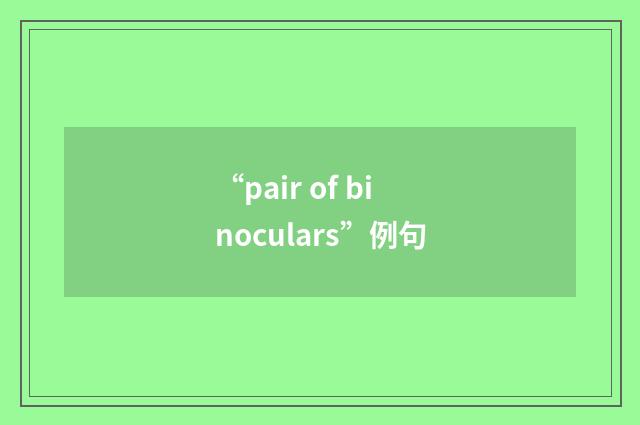 “pair of binoculars”例句