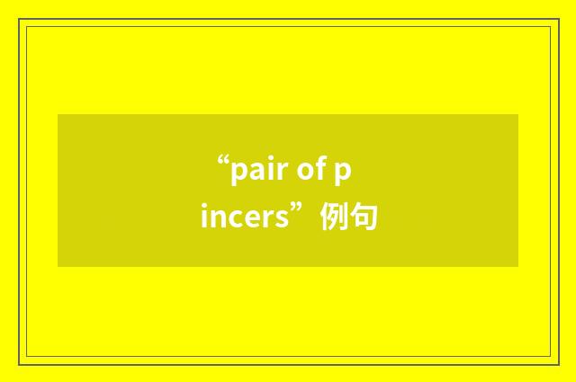 “pair of pincers”例句
