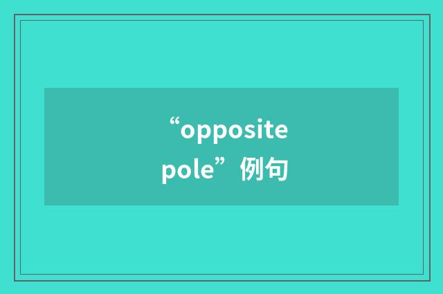 “opposite pole”例句