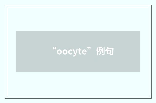 “oocyte”例句