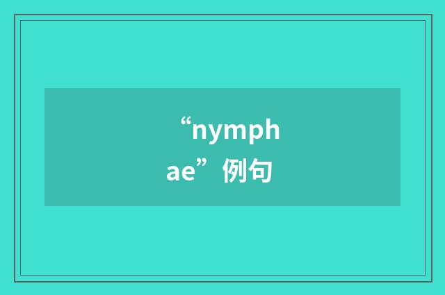“nymphae”例句