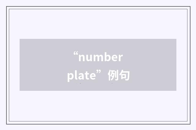 “number plate”例句