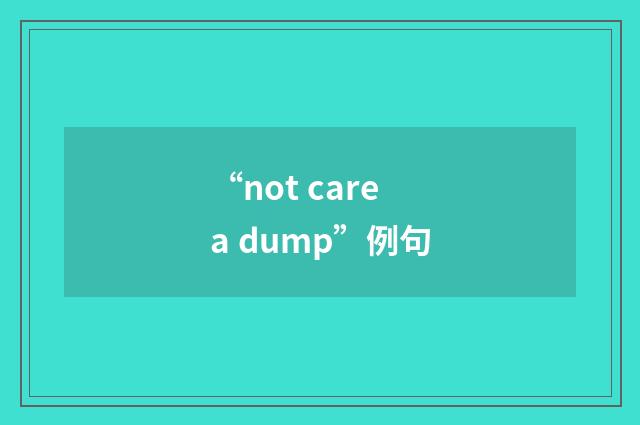 “not care a dump”例句