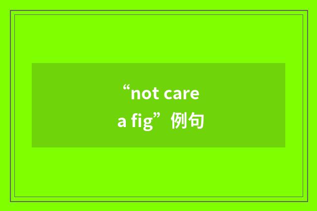 “not care a fig”例句