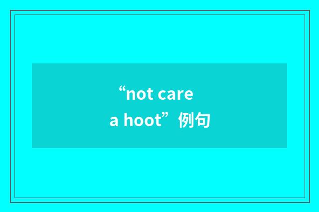 “not care a hoot”例句