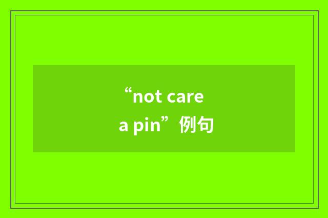 “not care a pin”例句