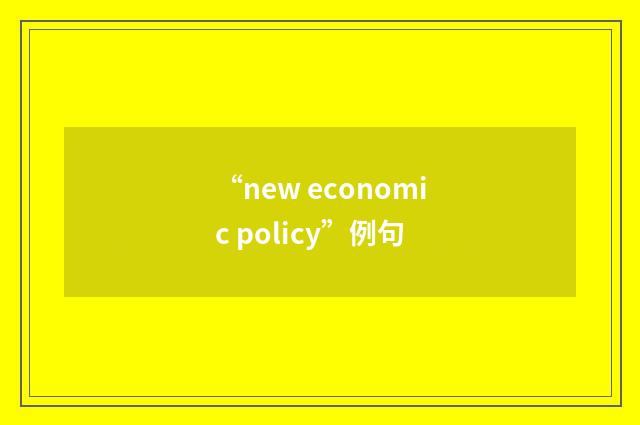 “new economic policy”例句