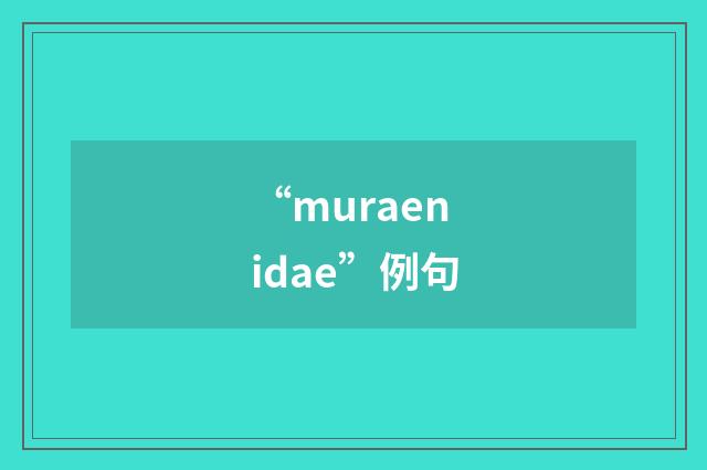 “muraenidae”例句
