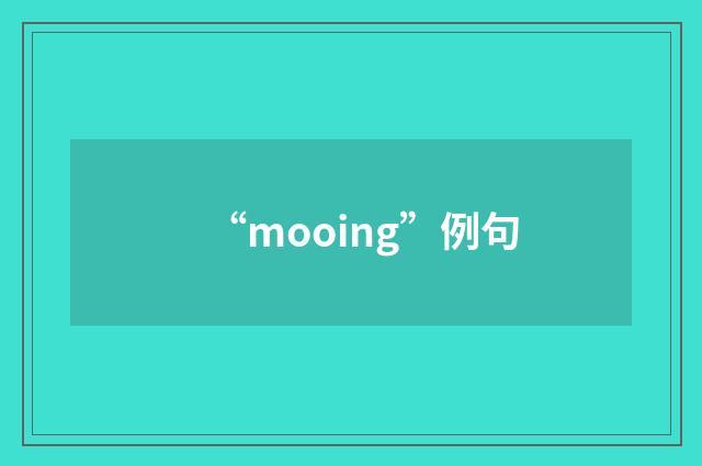“mooing”例句