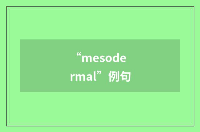 “mesodermal”例句