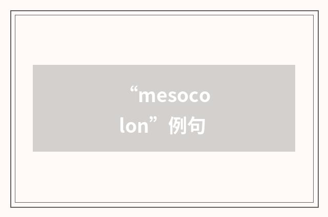 “mesocolon”例句